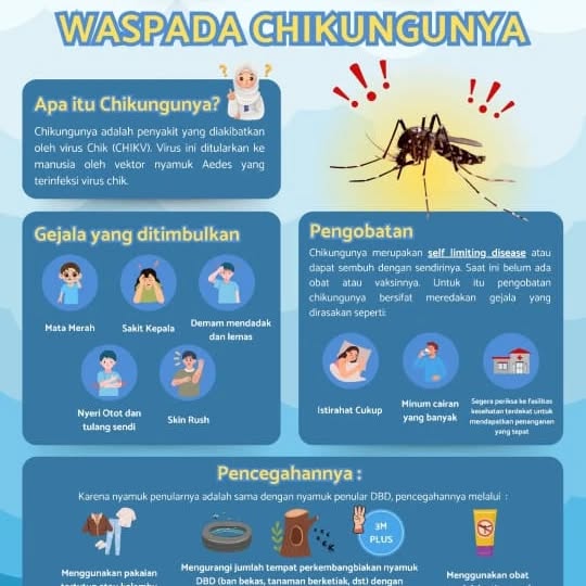 chikungunya - (Ada 1 foto)